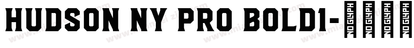 Hudson NY Pro Bold1字体转换